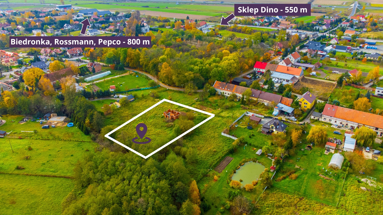 Staw Grabówka Duża – kopia